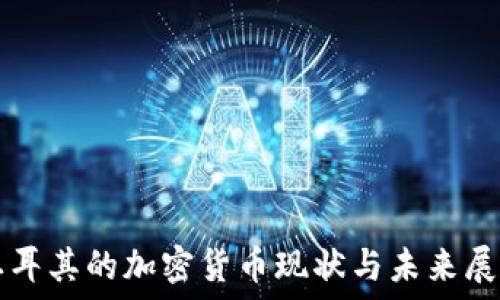  
土耳其的加密货币现状与未来展望