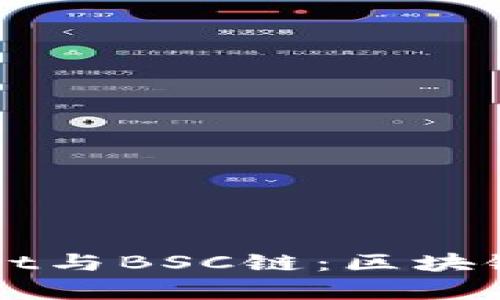 深入剖析TPWallet与BSC链：区块链技术的未来之路