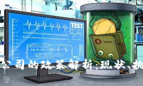 加密货币公司的政策解析：现状、挑战与未来